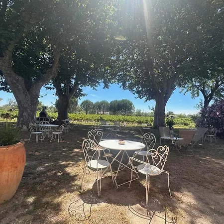La Maison De Constance - Charmante Maison Provençale 3 * Aigues-Mortes