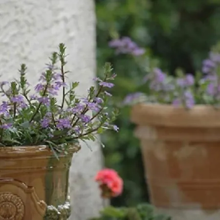 La Maison De Constance - Charmante Maison Provençale 3 Hébergement de vacances *