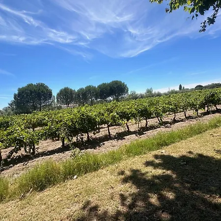 La Maison De Constance - Charmante Maison Provençale 3 * Aigues-Mortes