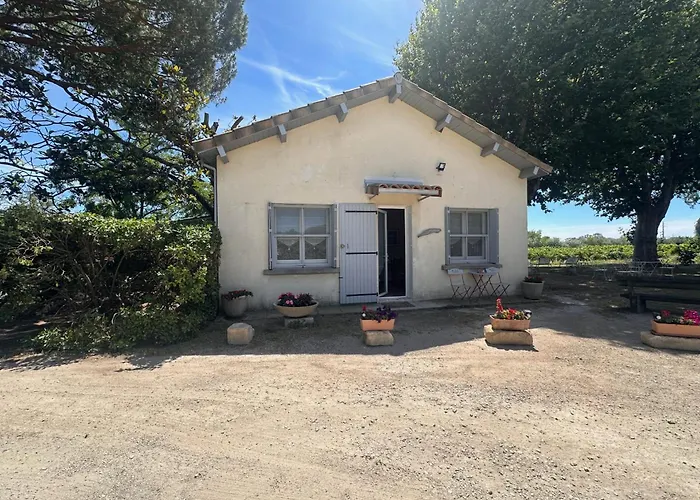 La Maison De Constance - Charmante Maison Provençale 3 Hébergement de vacances Aigues-Mortes