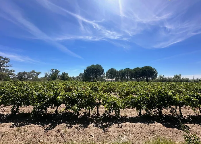 La Maison De Constance - Charmante Maison Provençale 3 Hébergement de vacances *